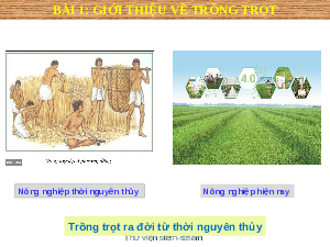 Giáo án điện tử Công nghệ 7 Bài 1 Kết nối tri thức: Giới thiệu về trồng trọt