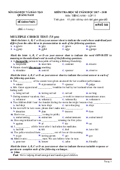 Đề thi học kỳ 1 Tiếng Anh 11 Quảng Nam  2017-2018(có đáp án)