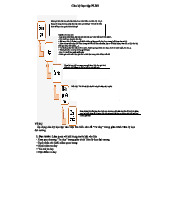 SQ3R-PLRS: Phương pháp học tập hiệu quả và đánh giá kiến thức