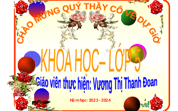Giáo án điện tử Khoa học 5  Chân trời sáng tạo: Sự sinh sản của côn trùng