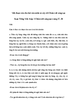 Soạn bài Viết: Viết đoạn văn cho bài văn miêu tả cây cối - Tiếng Việt 4 Chân trời sáng tạo