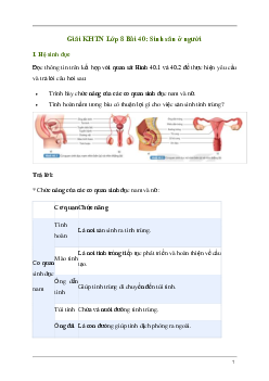 Giải KHTN 8 Bài 40: Sinh sản ở người | Kết nối tri thức