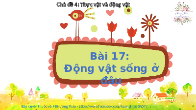 Bài 17 | Bài giảng PowerPoint | Tự nhiên và xã hội 2 | Kết nối tri thức với cuộc sống (Học kì 1)