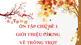 Giáo án điện tử Công nghệ trồng trọt 10 Cánh diều: Ôn tập chủ đề 1: Giới thiệu chung về trồng trọt
