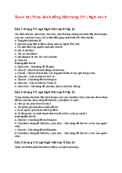 Soạn bài Thực hành tiếng Việt trang 111 | Ngữ văn 8 sách Bài 9: Nghị luận văn học Cánh Diều