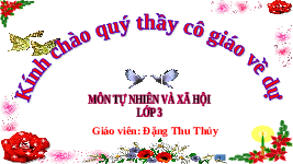 Giáo án điện tử TN&XH 3 Bài 9 Kết nối tri thức: Hoạt động sản xuất nông nghiệp