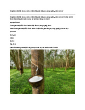 Đông Nam Bộ dẫn đầu cả nước về diện tích gieo trồng cây công nghiệp nào sau đây? | Địa lý 12