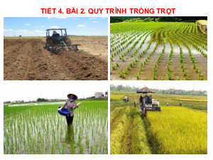 Bài giảng điện tử môn Công nghệ 7 Bài 2: Quy trình trồng trọt (Tiết 4) | Cánh diều