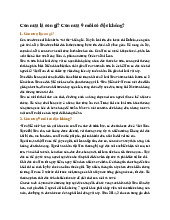 Con nưa là con gì? Con nưa 9 mũi có độc không