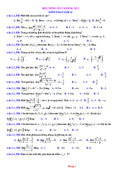 Đề cương trắc nghiệm ôn thi Toán 11 học kỳ 2