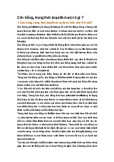 Cân bằng, trạng thái (equilibrium) là gì ?