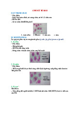 Ôn Tập Về Chu Kỳ Tế Bào và Tế Bào Máu | Sinh học tế bào