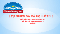 Giáo án điện tử Tự nhiên và xã hội 1 bài 16 Chân trời sáng tạo : Cây xung quanh em