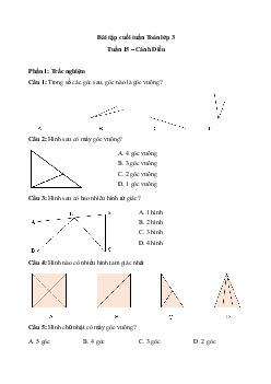 Phiếu bài tập cuối tuần Toán lớp 3 - Tuần 15 ( cơ bản ) |  Cánh Diều