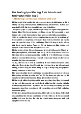 Môi trường tự nhiên là gì? Vai trò của môi trường tự nhiên là gì?