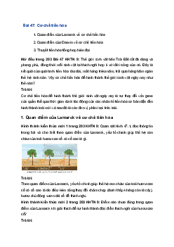 Giải Khoa học tự nhiên 9 Chân trời sáng tạo Bài 47: Cơ chế tiến hoá