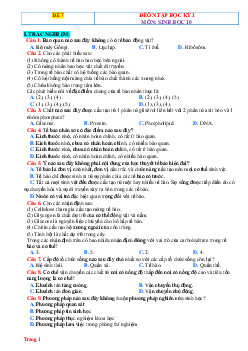 Đề kiểm tra học kỳ 1 môn Sinh 10 Kết nối tri thức-Đề 7 (có đáp án)