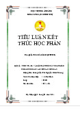 Tiểu luận: Thực trạng và giải pháp xuất khẩu tư bản tư nhân vào Việt Nam môn Kinh tế chính trị | Học viện Ngân hàng
