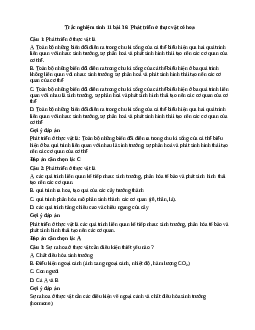 Trắc nghiệm Sinh học 11 bài 36 | Kết nối tri thức