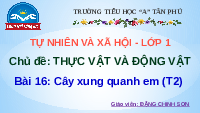 Giáo án điện tử Tự nhiên và xã hội 1 bài 16 Chân trời sáng tạo : Cây xung quanh em