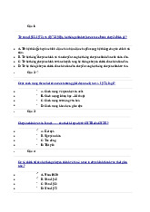 Câu hỏi ôn tập LSĐ/ Trường đại học Nguyễn Tất Thành