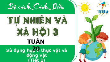 Giáo án điện tử TN&XH 3 Bài 16 Kết nối tri thức: Sử dụng hợp lí thực vật và động vật