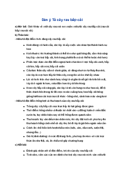 Dàn ý Tả cây rau bắp cải | Tập làm văn 4