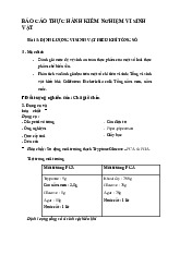 BÁO CÁO THỰC HÀNH KIỂM NGHIỆM VI SINH VẬT môn Vi sinh| Trường Đại Học Tây Nguyên