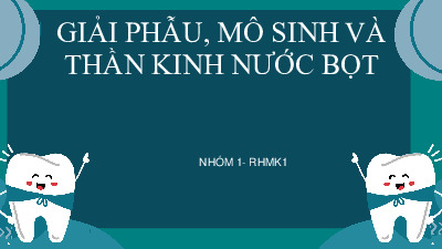 Giải phẫu, mô sinh và  thần kinh nước bọt  môn Giải phẫu  | Trường Đại học Y Dược, Đại học Quốc gia Hà Nội