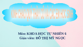 Giáo án điện tử Khoa học tự nhiên 6 bài 8 Chân trời sáng tạo : Sự đa dạng của các thể cơ bản của chất. Tính chất của chất