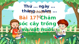 Giáo án điện tử Khoa học 4 Bài 17 Chân trời sáng tạo: Chăm sóc cây trồng và vật nuôi