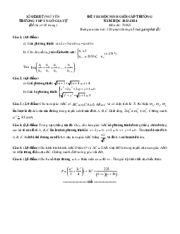 Đề học sinh giỏi Toán 11 năm 2023 – 2024 trường THPT Ngô Gia Tự – Phú Yên