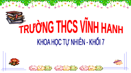 Giáo án điện tử Khoa học tự nhiên 7 bài 26 Chân trời sáng tạo : Thực hành về hô hấp tế bào ở thực vật thông qua sự nảy mầm của hạt