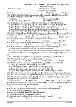 Đề thi thử THPT Quốc gia năm 2024 lần 3 môn Sinh học trường THPT Đội Cấn, Vĩnh Phúc - Mã đề 621