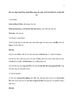 Giải Sinh học 11 Bài 21: Thực hành Bấm ngọn, tỉa cành, xử lí kích thích tố và tính tuổi câySinh học 11 Bài 21: Thực hành Bấm ngọn, tỉa cành, xử lí kích thích tố và tính tuổi cây| Kết nối tri thức