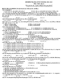 Đề thi học kì 2 môn Vật lý lớp 11 năm 2022 - 2023| đề 5