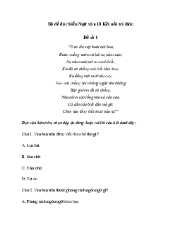 Bộ đề đọc hiểu Ngữ văn 10 Kết nối tri thức với cuộc sống