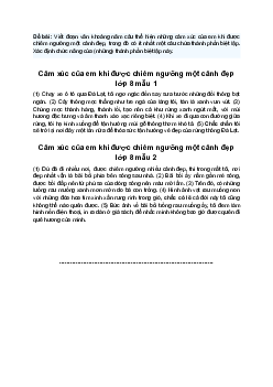 Văn mẫu 8 | Viết đoạn văn thể hiện những cảm xúc của em khi được chiêm ngưỡng một cảnh đẹp