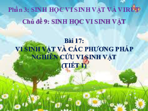 Bài 17 | Bài giảng PowerPoint môn Sinh học 10 | Cánh diều