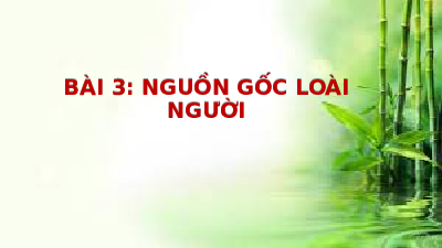 Giáo án điện tử Lịch sử 6 Bài 3 Chân trời sáng tạo: Nguồn gốc loài người