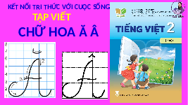 Giáo án điện tử Tiếng Việt 2 Tập 1 Bài 3 Kết nối tri thức: Niềm vui của Bi và Bống - Viết: Chữ hoa Ă Â