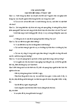 Câu hỏi ôn tập chuyên đề quang hợp| Kết nôi tri thức