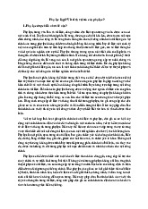 Phụ lục là gì? Ví trí và vai trò của phụ lục?