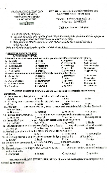 Đề thi Olympic truyền thống 30-4 lần thứ XXII - năm 2016 THPT Chuyên Lê Hồng Phong, TP Hồ Chí Minh môn Tiếng Anh lớp 11 (có đáp án)