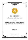 Bài tập nhóm: Nghiên cứu Quan hệ Thương mại Việt Nam - Nhật Bản giai đoạn 2010-2022 môn Kinh doanh quốc tế | Học viện Ngân hàng
