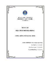 Báo cáo về Sting bùng nổ giáng sinh môn Đồ họa động | Trường Đại học Văn Hiến