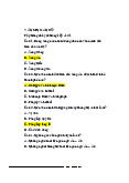 Trắc nghiệm văn minh Ấn Độ  - Lịch sử văn minh thế giới 2 | Trường Đại Học Duy Tân
