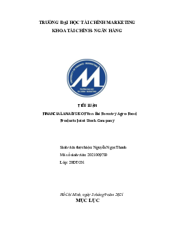 Bài tiểu luận đề tài : FINANCIAL ANALYSIS Of Yen Bai Forestry Agro-Food Products Joint Stock Company học phần Nguyên lý kế toán