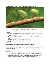 Văn mẫu lớp 9: Dàn ý Nghị luận về đức tính chăm chỉ