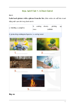 Giải Tiếng Anh 8 Unit 7: A Closer Look 1 | Kết nối tri thức
